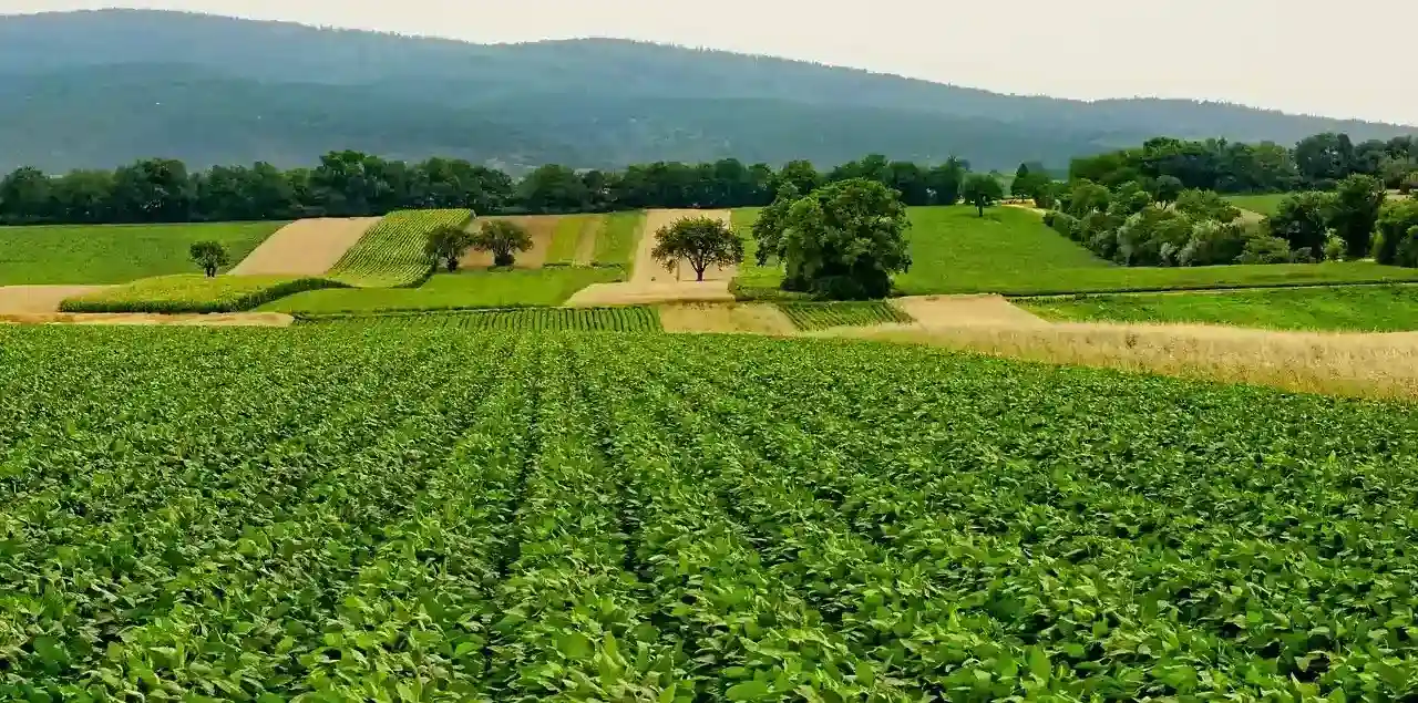 Illustration des enjeux de l'alimentation durable