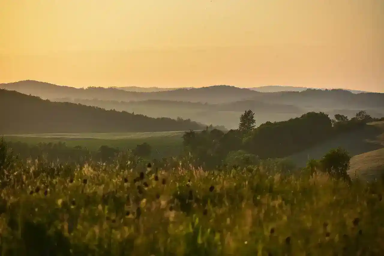 L'équipe dans un environnement paisible